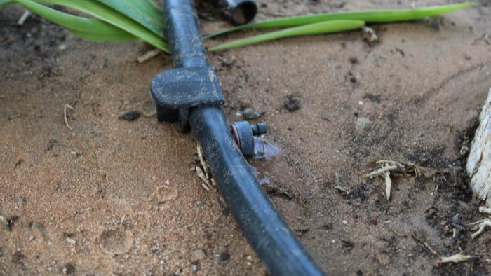  How deep should a soaker hose be buried?